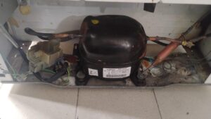 image (3)